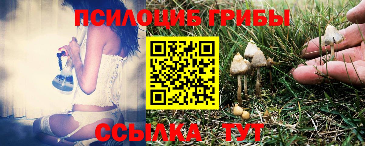 Галлюциногенные грибы ЛСД Белая Калитва