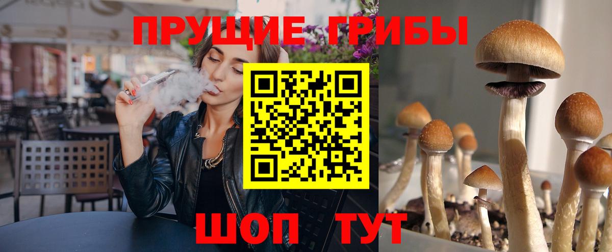 Белая Калитва  Псилоцибиновые грибы MAGIC MUSHROOMS  как найти   Вход с VPN 
